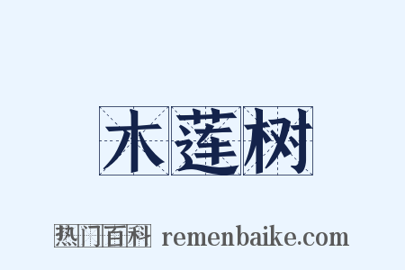 木莲树是什么意思的图片